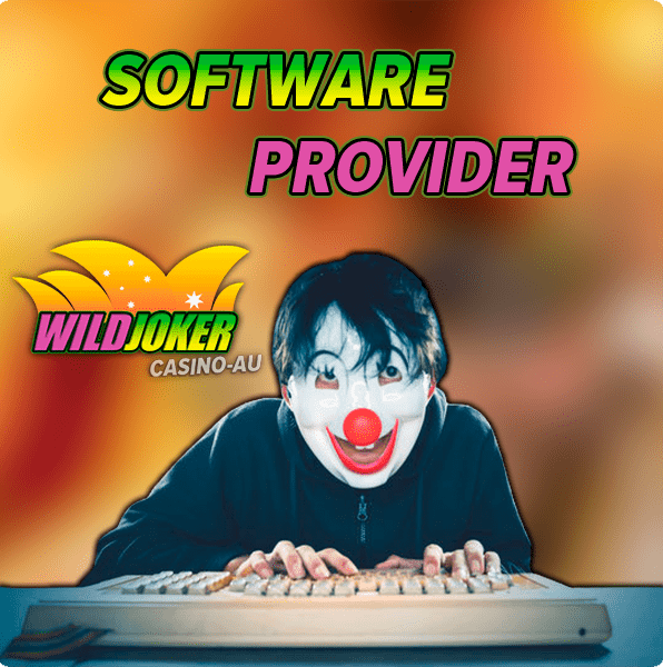 Casino Software Developers at Wild Joker